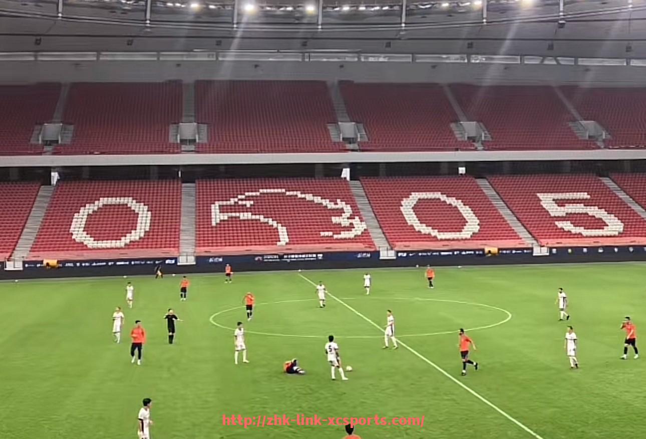 杏彩体育-世俱杯与本地小企业合作模式及发展机会分析