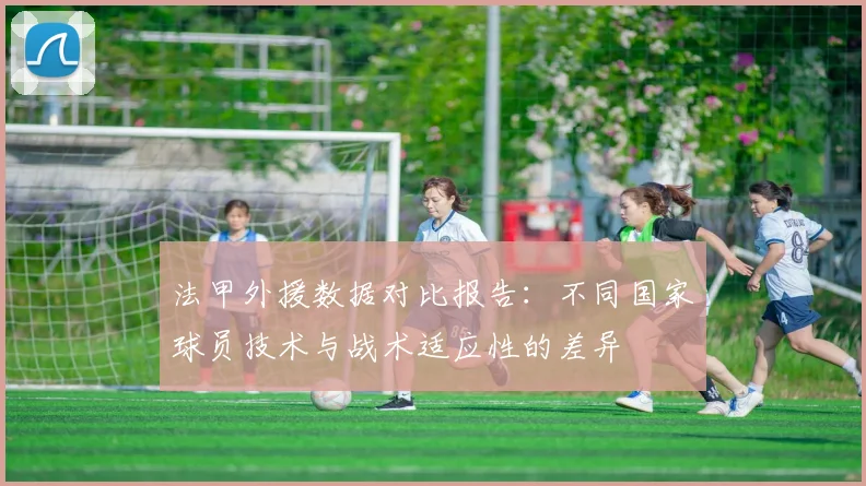 法甲外援数据对比报告：不同国家球员技术与战术适应性的差异