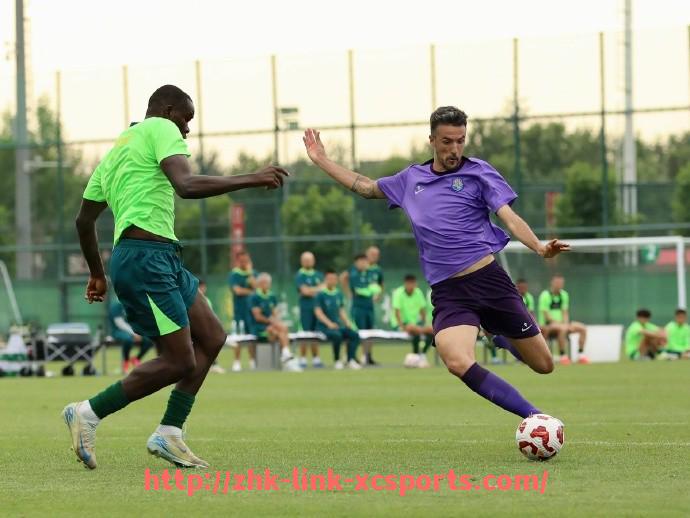 杏彩体育-法甲外援适应性提升机制及其对竞技状态的积极影响