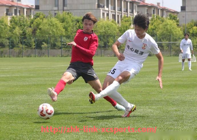 杏彩体育-意甲球队粤语别名：意甲球队在粤语中的别名与文化背景