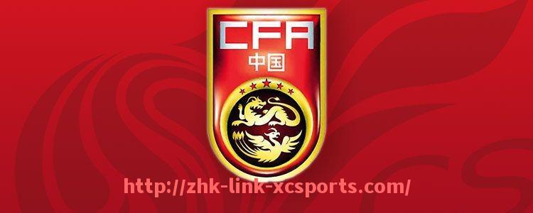 杏彩体育-世俱杯比赛技术支持体系搭建与管理